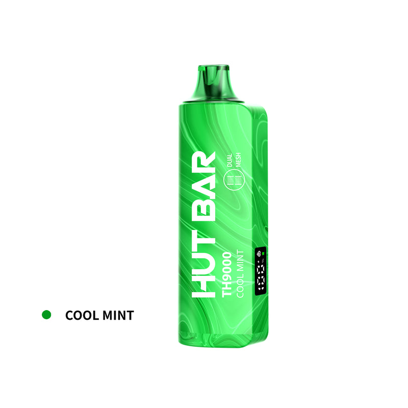 HUT BAR DISPOSABLES VAPE TH9000 puffs